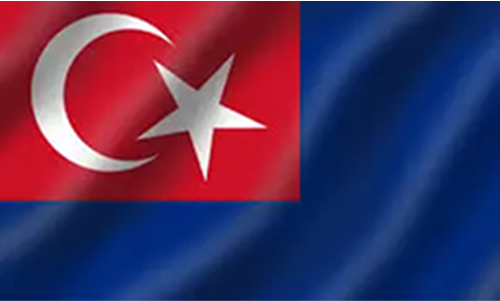 Flag Icon
